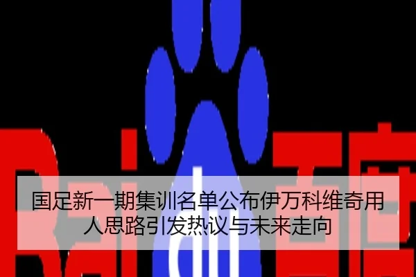 国足新一期集训名单公布伊万科维奇用人思路引发热议与未来走向