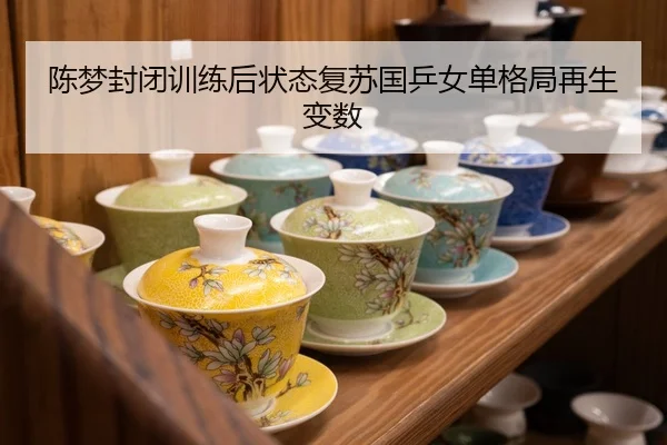 陈梦封闭训练后状态复苏国乒女单格局再生变数
